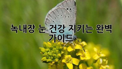 녹내장, 눈 건강 지키는 완벽 가이드