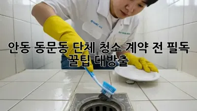 안동 동문동 단체 청소🧹 계약 전 필독! 꿀팁 대방출🍯