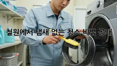 철원에서 냄새 없는 청소, 비법 공개!